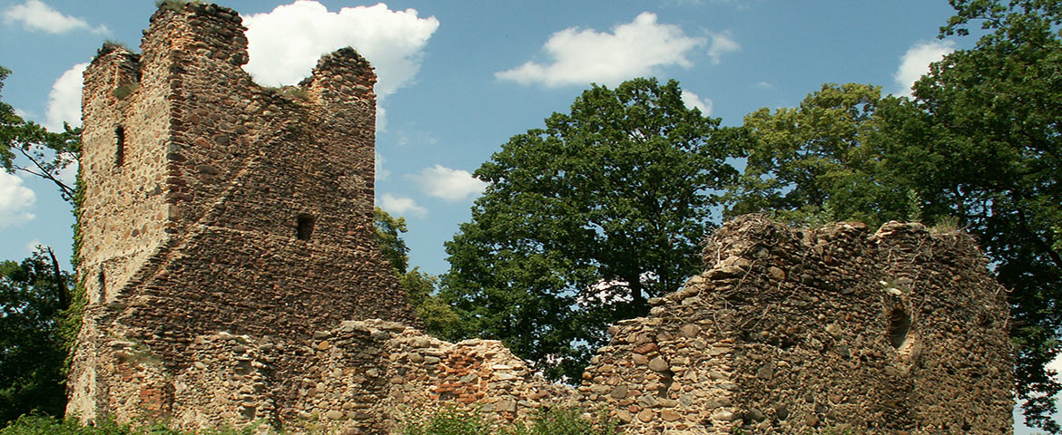 Ruiny w Straszowie